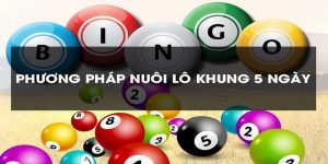 Cách Bắt Bạch Thủ Lô Khung 5 Ngày Chuẩn Xác Với 4 Mẹo Hay