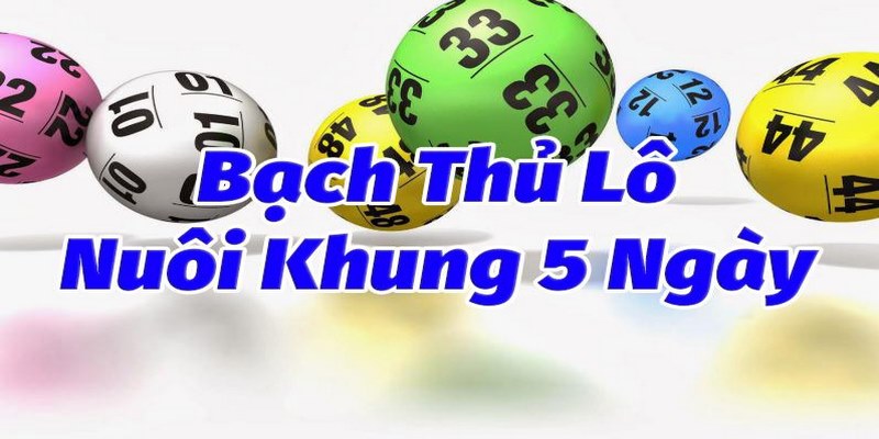 3 lý do nên bắt bạch thủ lô khung 5 ngày