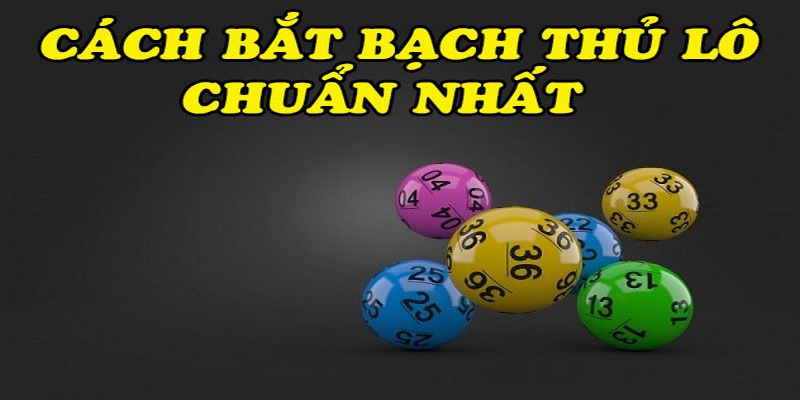 3 cách bắt bạch thủ lô khung 5 ngày